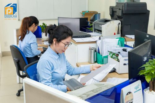 vp-bao-bi-phuong-nam-3